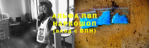 PSILOCYBIN Балабаново