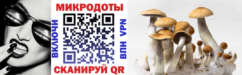 ссылка на мегу маркетплейс  Зуевка  Псилоцибиновые грибы мицелий 