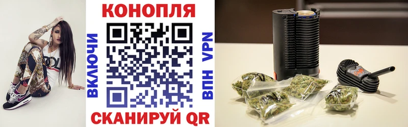 Конопля семена  как найти закладки  Зуевка 